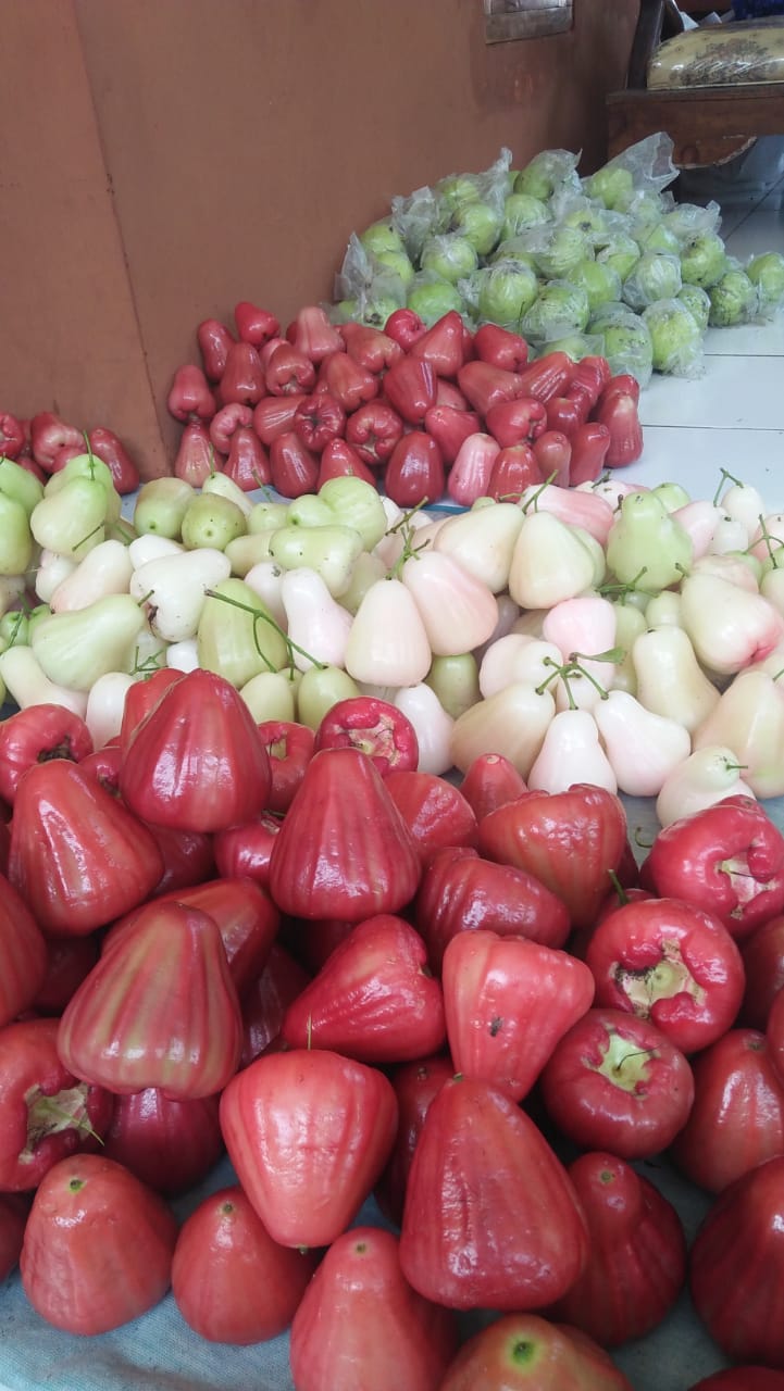 Jambu citra